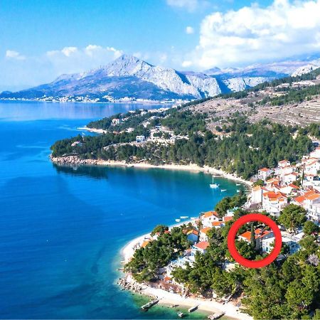 Beach Apartments Borovina Stanici Εξωτερικό φωτογραφία